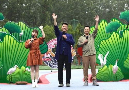 保定护士爆料视频最新网站,揭秘医院内部惊人真相